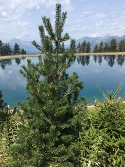 Appart Tres Ensoleille 5-6 Pers Au Pied Des Pistes 昂塞勒 外观 照片