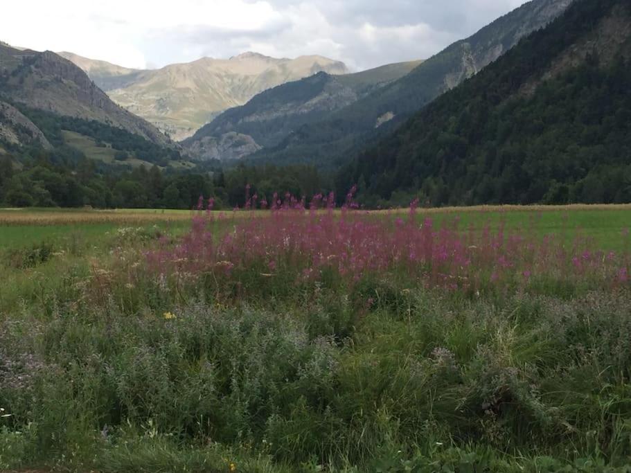 Appart Tres Ensoleille 5-6 Pers Au Pied Des Pistes 昂塞勒 外观 照片